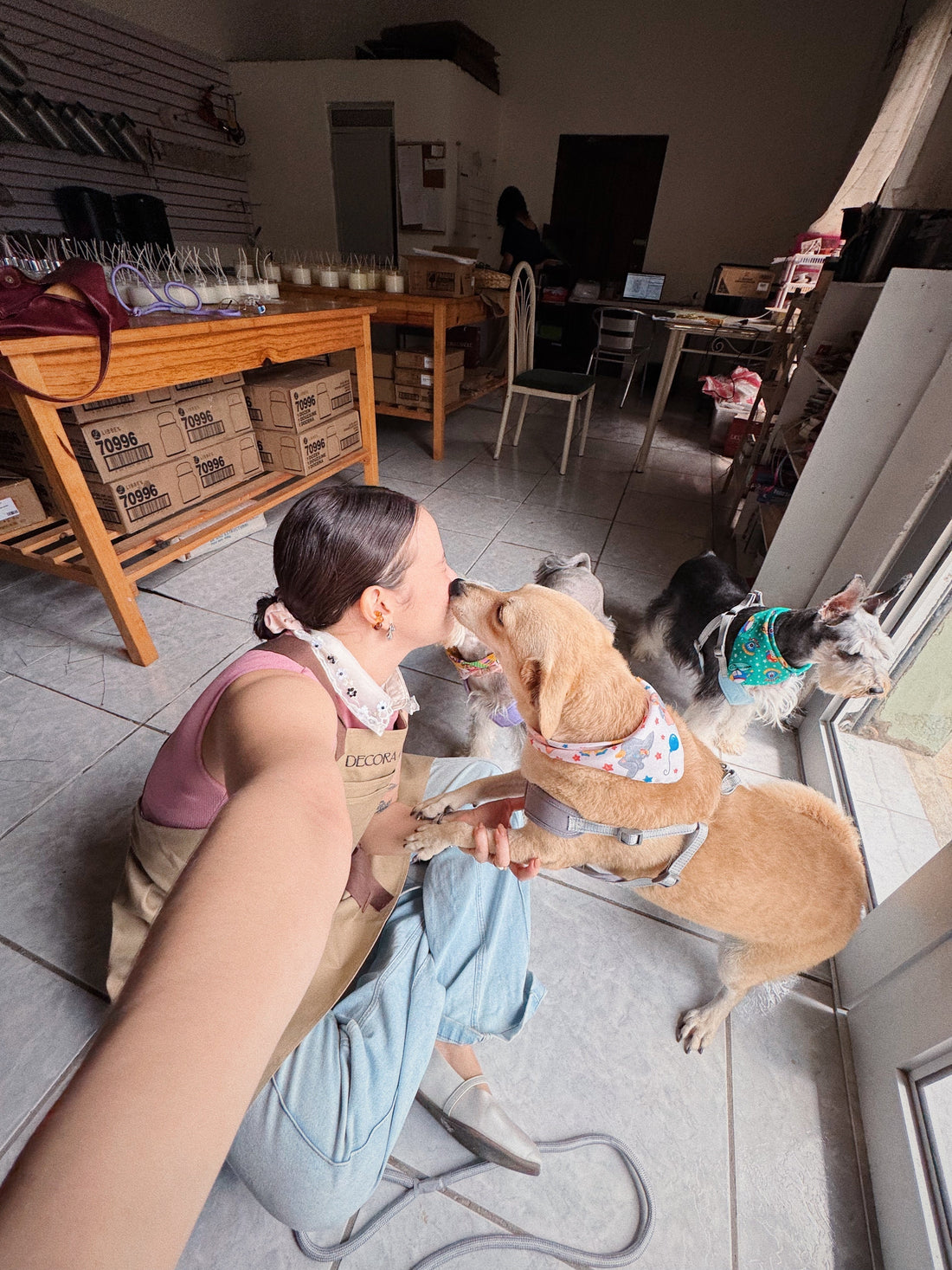 Cómo un Home Spray cambió la energía de mi casa (y de mi mente)