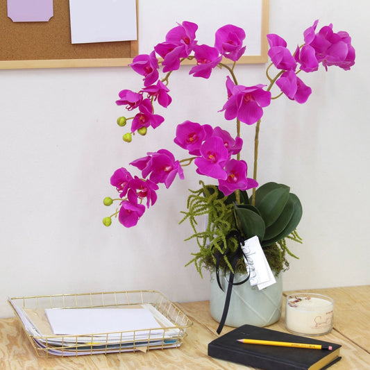 Arreglo Floral - Magenta Orchids