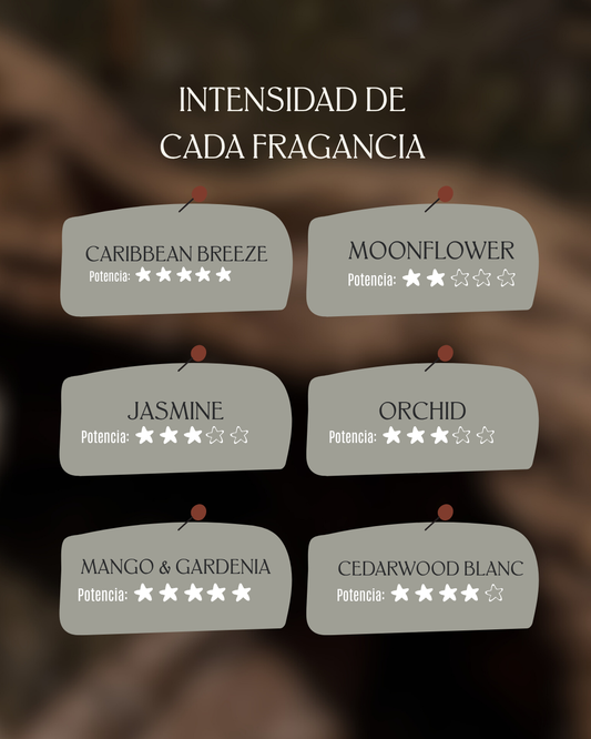 Combo Refill x3 | Varitas Aromáticas para Difusor de Rejilla