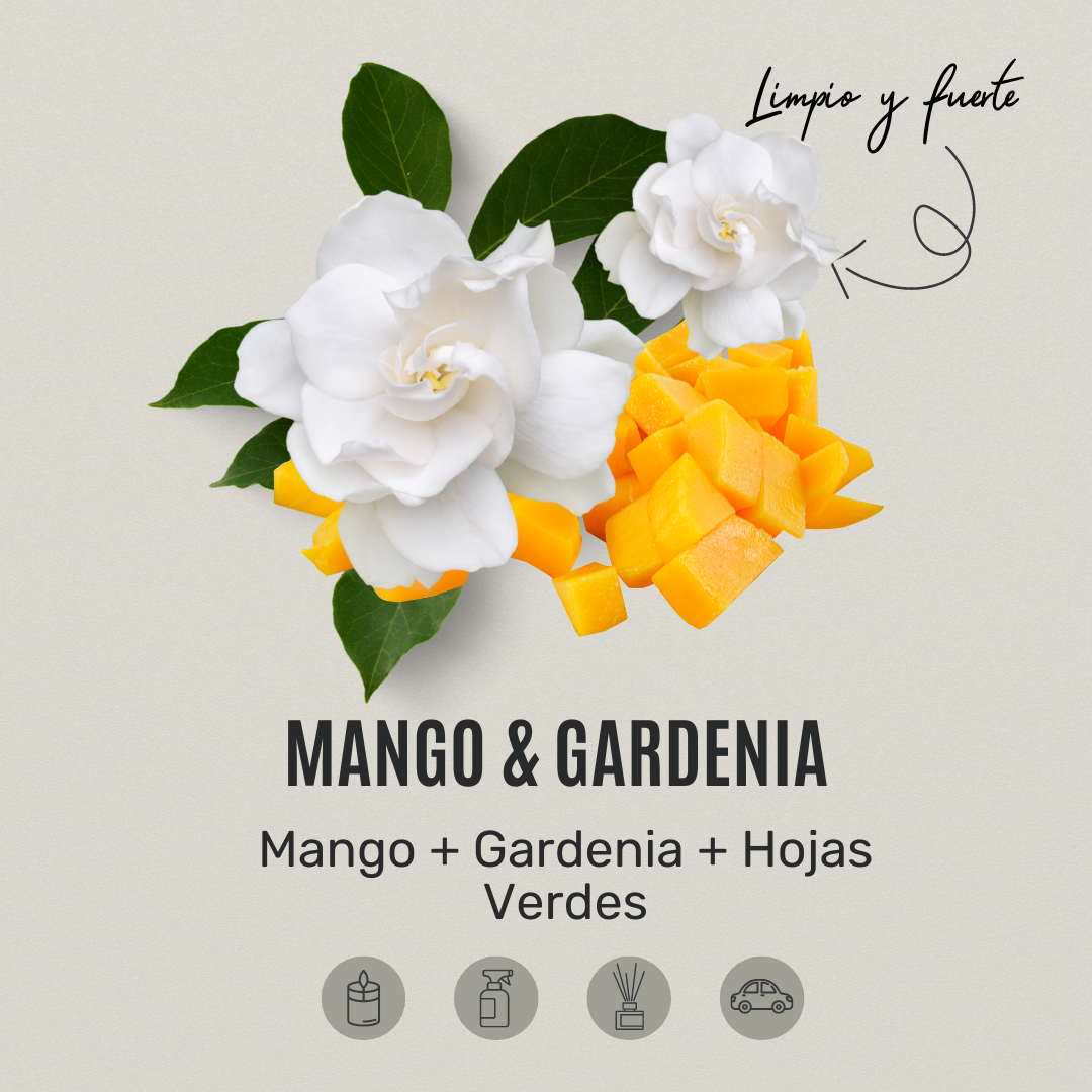 Mango & Gardenia - Apothecary Candle