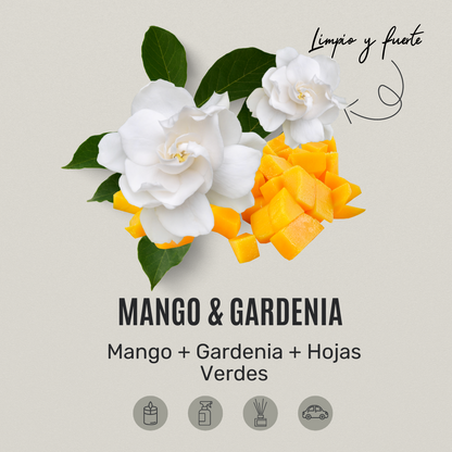 Mango & Gardenia - Classic Candle